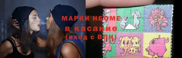 ешки Няндома