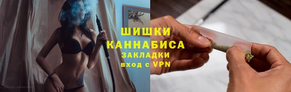 бошки Новодвинск