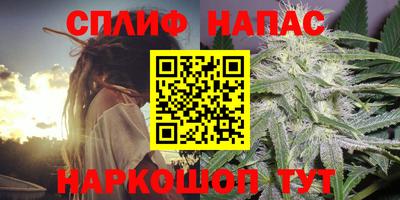 СК Балашиха