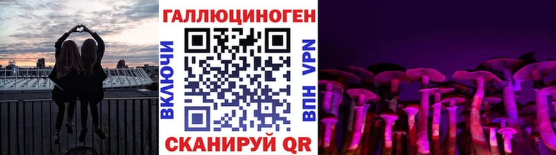 цены наркотик  Волоколамск  Псилоцибиновые грибы Psilocybine cubensis 